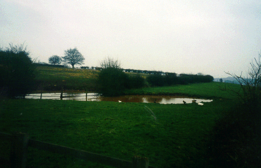 Pond on Fromes Hill